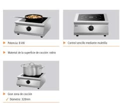 Bartscher Placa De Inducción ITH 80-320 11 Bartscher Placa De Inducción ITH 80-320 -Tienda de cocina bartscher placa induccion ith 80 320 06