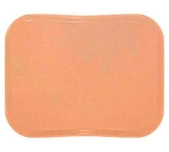 Cambro Bandeja Versa Lite Century Perfil Bajo