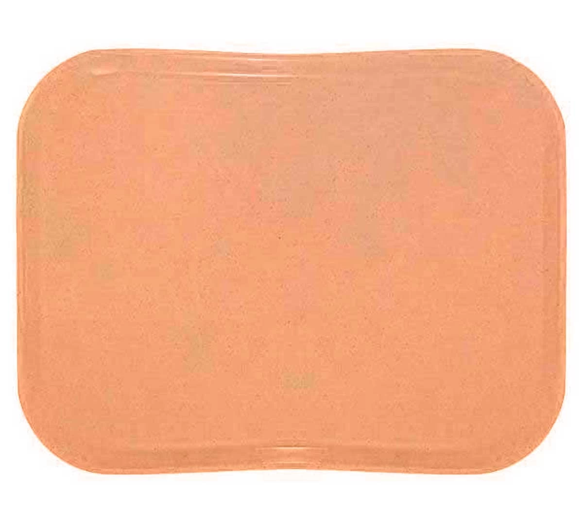 Cambro Bandeja Versa Lite Century Perfil Bajo 3 Cambro Bandeja Versa Lite Century Perfil Bajo