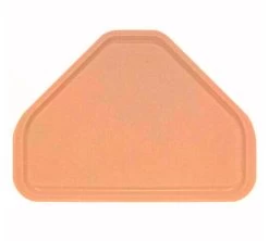 Cambro Bandeja Versa Space Saver