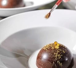 Porvasal Vajilla Linneo Ammonites