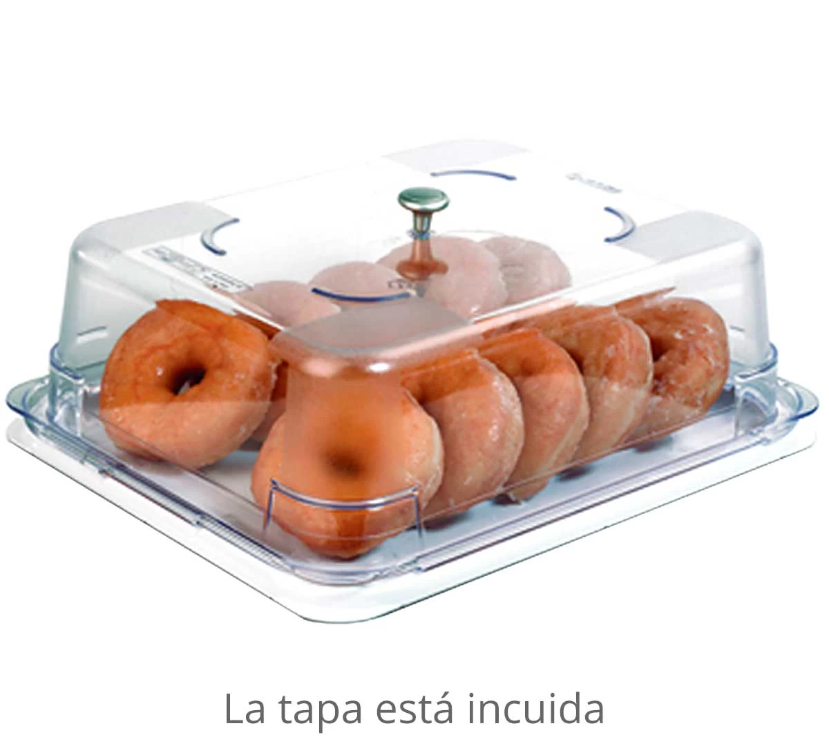 VG Vitrina Bandeja Expositora GN 1/2 3 VG Vitrina Bandeja Expositora GN 1/2